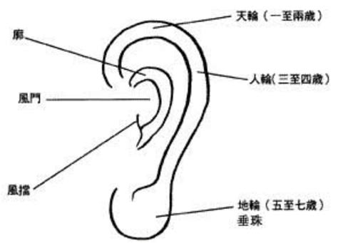 耳骨面相